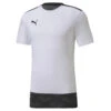 Puma TeamFINAL 21 Casuals Tee -Tefal Shop P656489 04